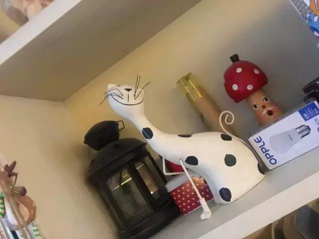 兰州有味道的书店,兰州有新型书店多少家