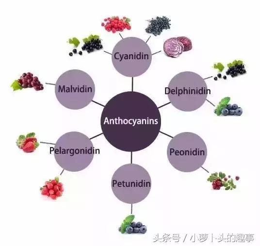 葡萄酒喝到嘴巴发黑是假酒吗,舌头被葡萄酒染色是真的吗