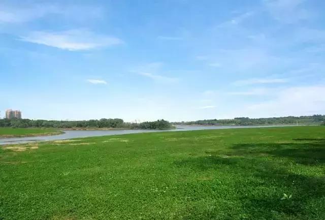 成都赏红叶的公园,成都赏秋色最好的地方