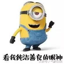 气象说丨初秋小毛病，有它不用药