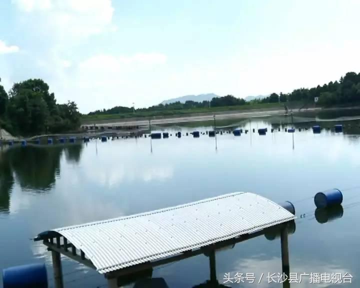 神奇的学校有哪些,神奇的学校完整版国语版