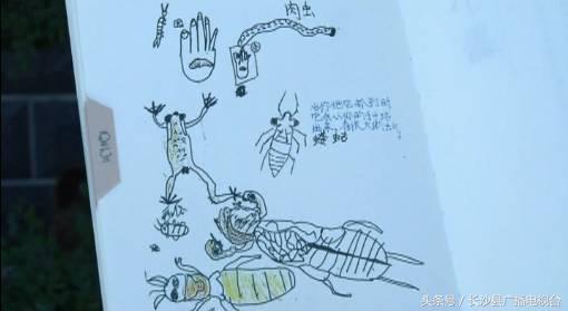 神奇的学校有哪些,神奇的学校完整版国语版