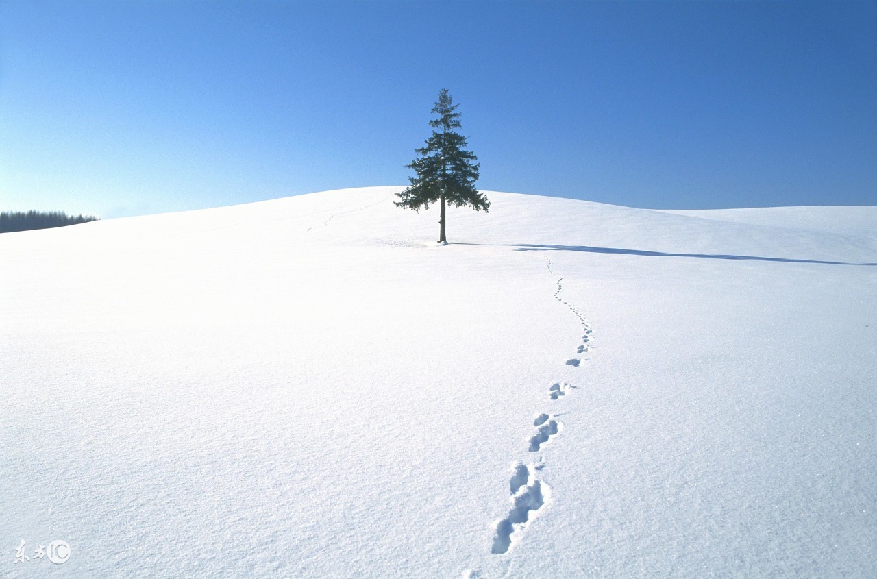 相机日常拍照用什么对焦点,相机拍照时如何保持对焦