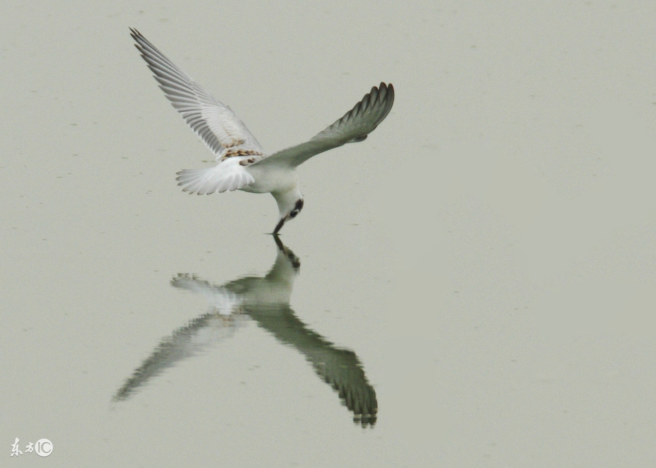 相机日常拍照用什么对焦点,相机拍照时如何保持对焦