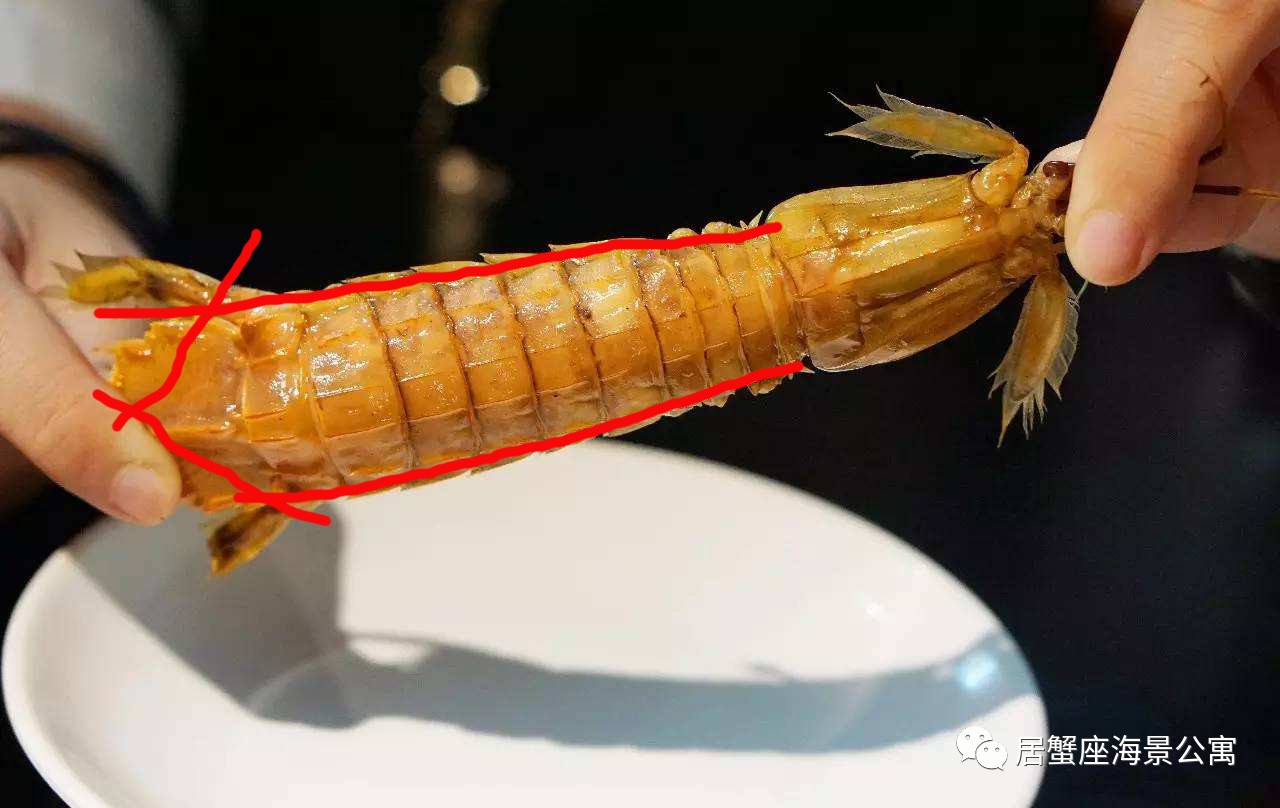 攻略｜老渔民亲传“扒虾秘籍”，皮皮虾我们走！