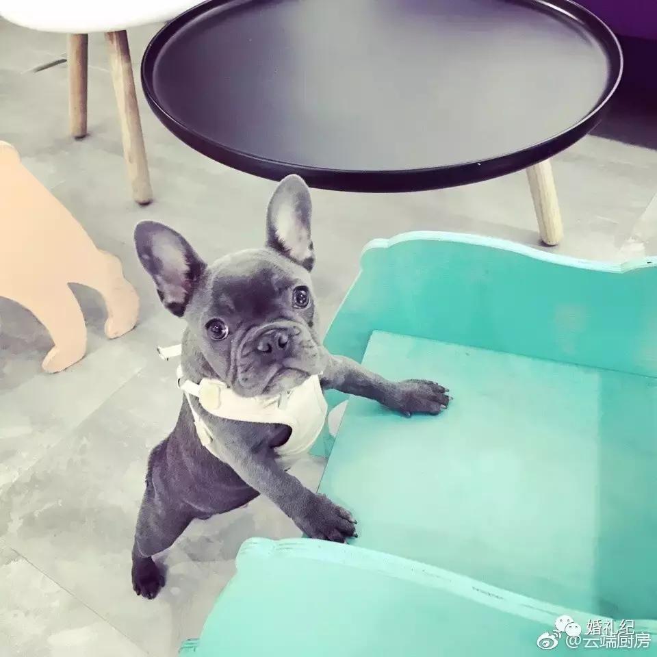 拍婚纱照推荐去的小众地方,南京拍摄婚纱照推荐