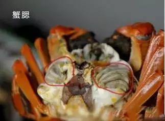 烟台人炫富方式,烟台开海炫富是真的吗