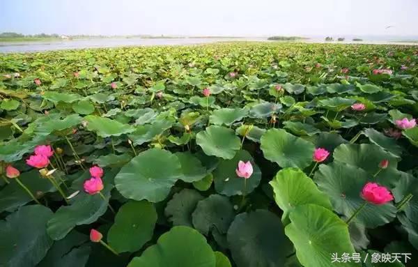 河南二十四节气完整版,二十四节气河南文旅