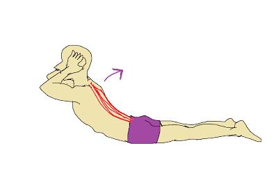 练背练肩颈真的可以瘦背吗,练背可以改善脊椎两侧肌肉吗