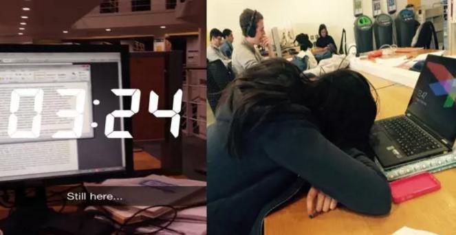 lse和伦敦大学,伦敦lsc大学