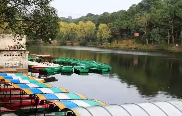 成都赏红叶的公园,成都赏秋色最好的地方