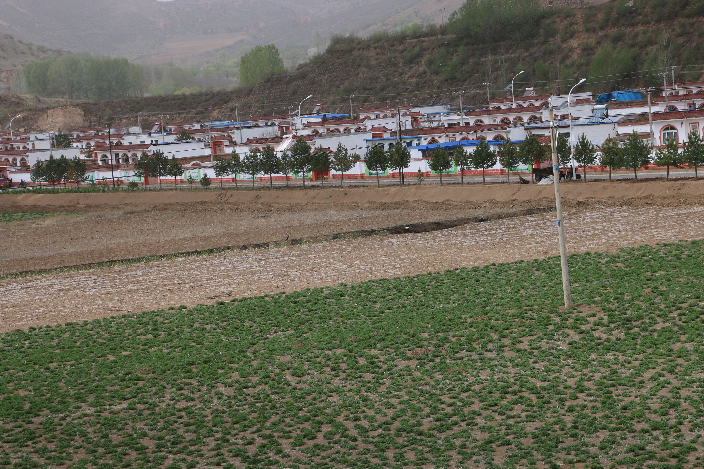 长城美丽乡村,长城镇美丽乡村建设