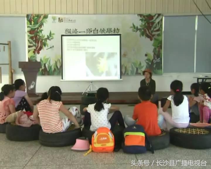 神奇的学校有哪些,神奇的学校完整版国语版