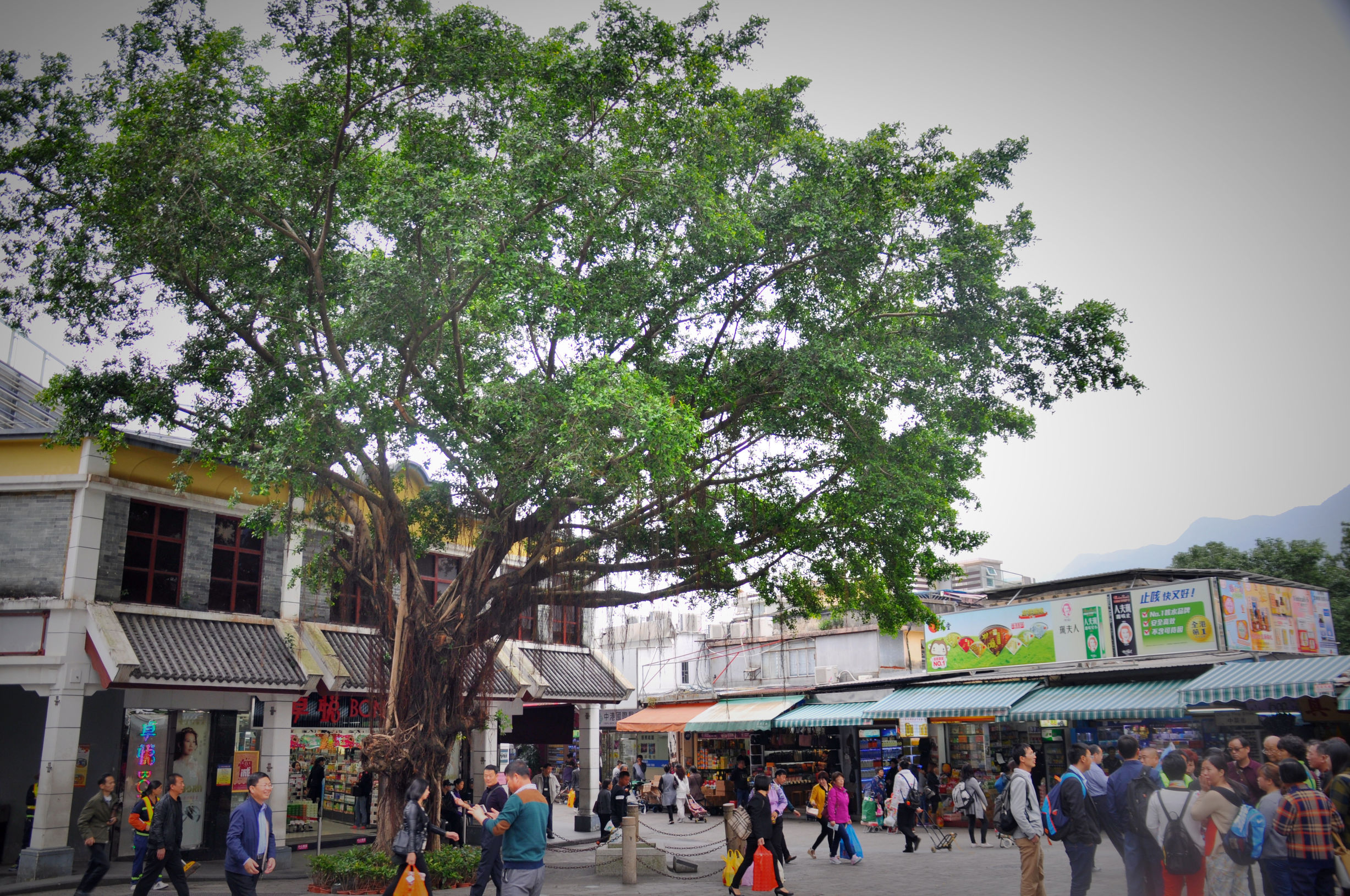 香港代购去哪里买比较便宜,香港代购一般去哪里购物