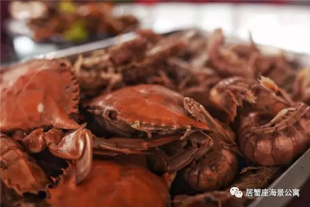 攻略｜老渔民亲传“扒虾秘籍”，皮皮虾我们走！