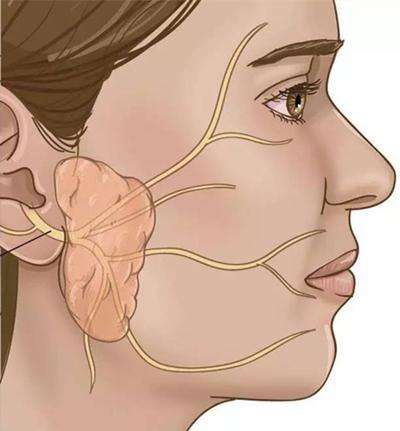 斜坡脊索瘤手术的成功率,鞍区脊索瘤和斜坡脊索瘤哪个好治