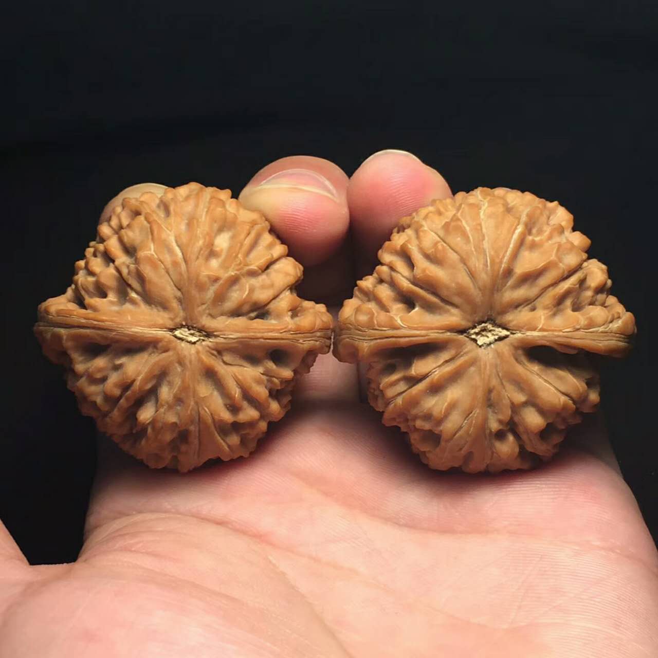 文玩核桃的魅力究竟在哪儿,文玩核桃为什么值钱