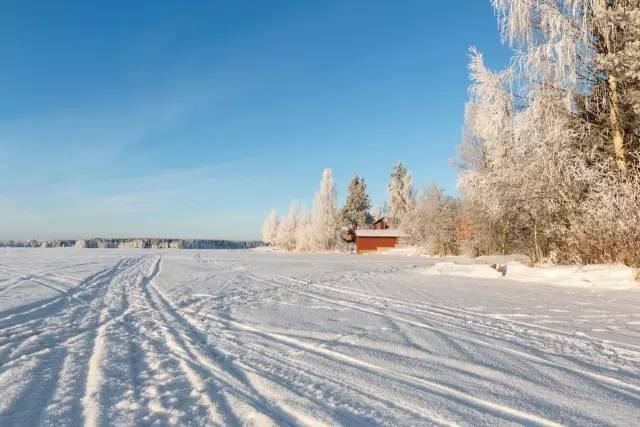 芬兰真力音箱,真力音箱型号经典