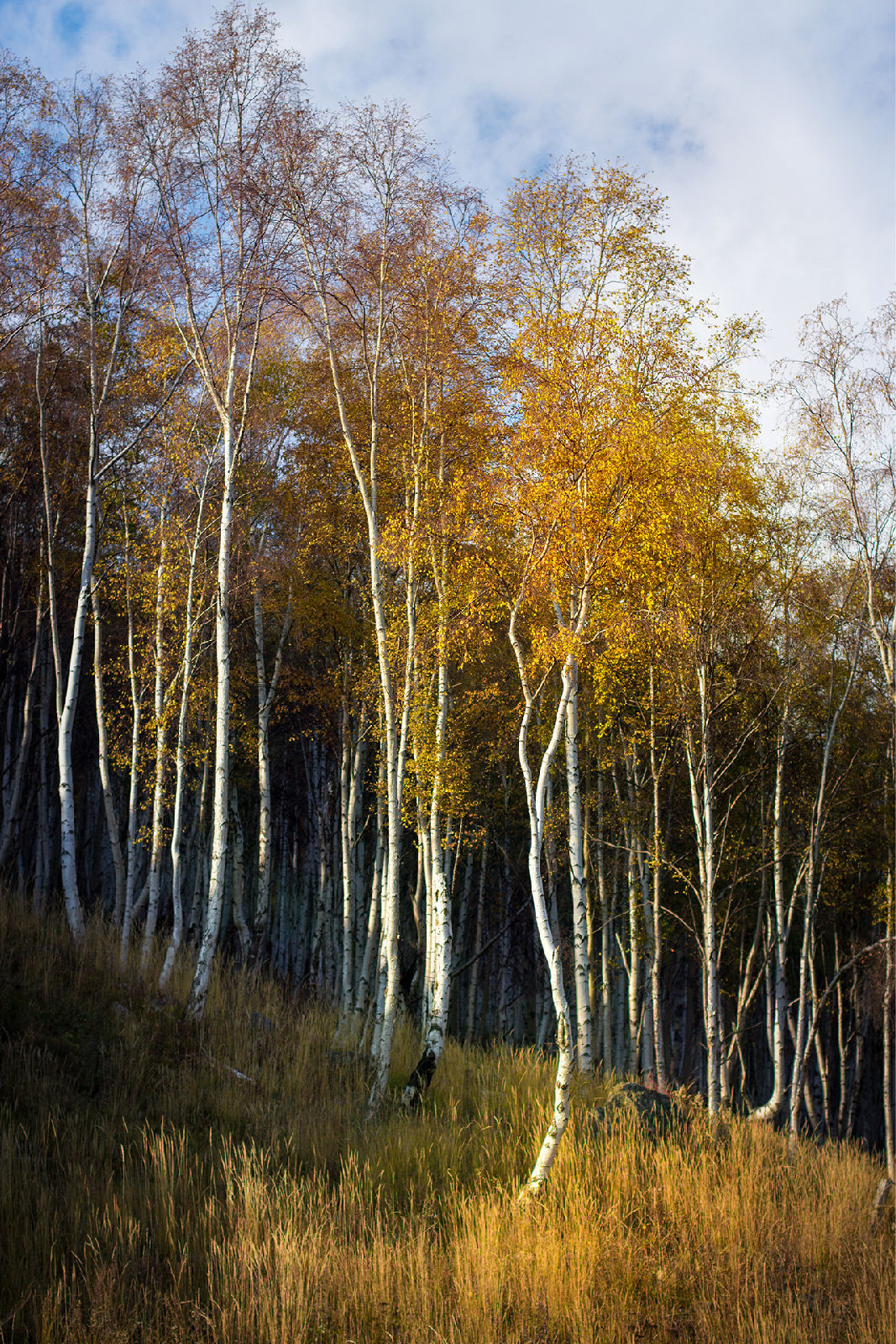 贝加尔湖环湖线路图,贝加尔湖环湖小火车