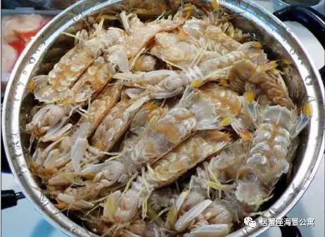 攻略｜老渔民亲传“扒虾秘籍”，皮皮虾我们走！