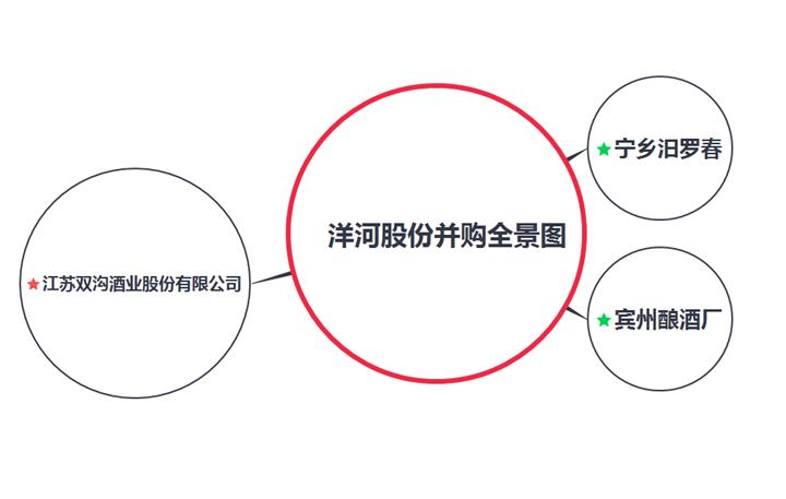 立体解剖分解,洋河股份股权结构与分析
