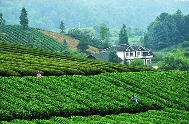 太精辟!一句话形容贵州88区县,看到自己的家乡笑死了!哈哈哈