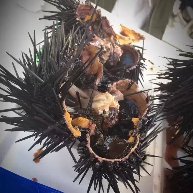 学姐学长的朋友圈，飞过一整个世界