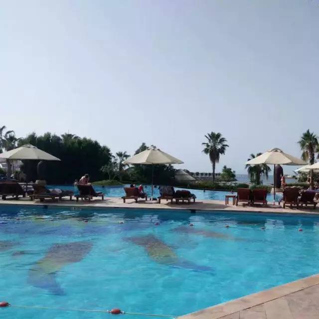 学姐学长的朋友圈，飞过一整个世界