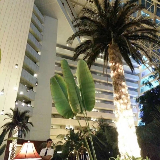 学姐学长的朋友圈，飞过一整个世界