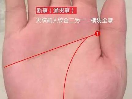 断掌怎么讲解,初学者如何判断断掌