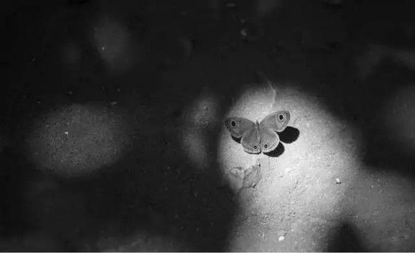 解脱心理压力,解脱压力大