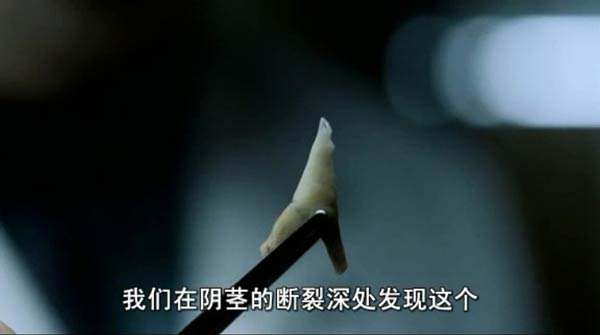 被人遗忘的灵异故事,中国关于猫的鬼怪传说