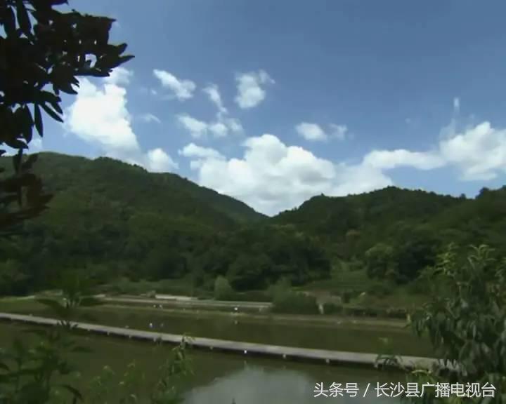 神奇的学校有哪些,神奇的学校完整版国语版