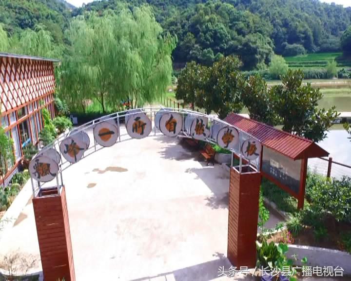 神奇的学校有哪些,神奇的学校完整版国语版