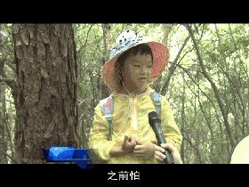 神奇的学校有哪些,神奇的学校完整版国语版