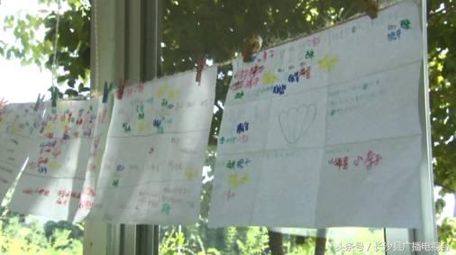 神奇的学校有哪些,神奇的学校完整版国语版