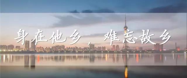 重大发现纯音乐,重大发现歌曲