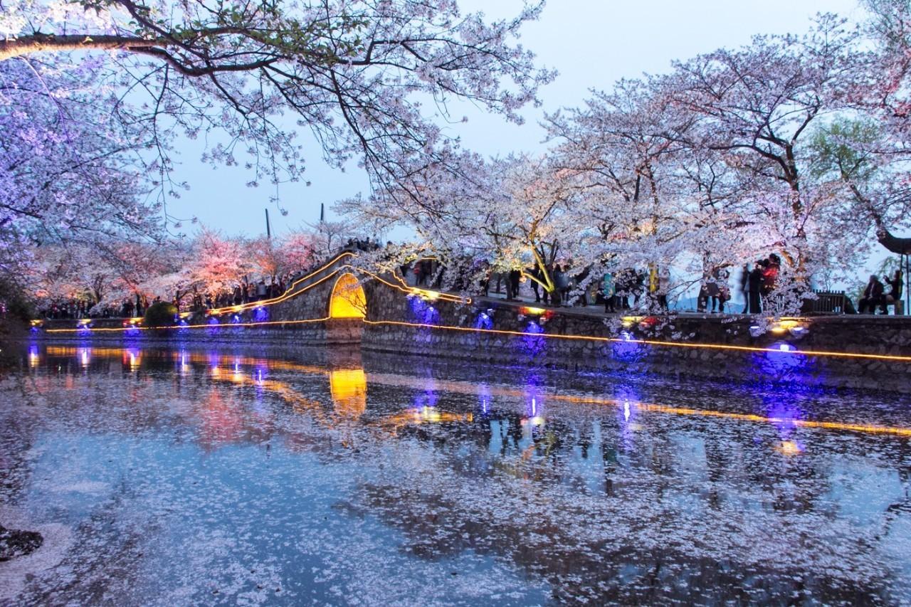 9月机票价格走势,机票白菜价140元起全国各地出发