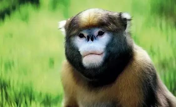 太精辟!一句话形容贵州88区县,看到自己的家乡笑死了!哈哈哈