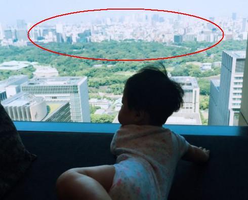 陈赫的天价豪宅,陈赫上海豪宅内景曝光