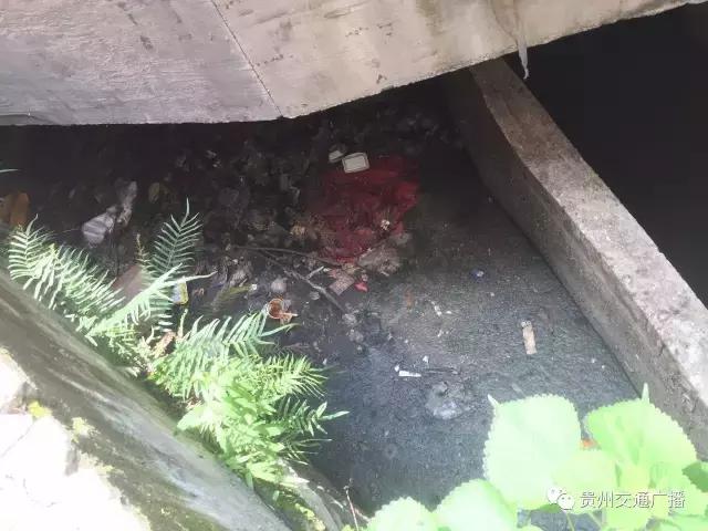 市民举报污水满出来啦!12345市长热线来解决