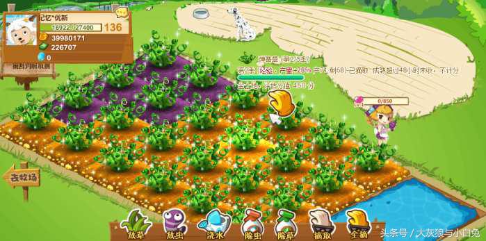 人气最火的网页游戏有哪些,那些我们曾经玩过的网页游戏