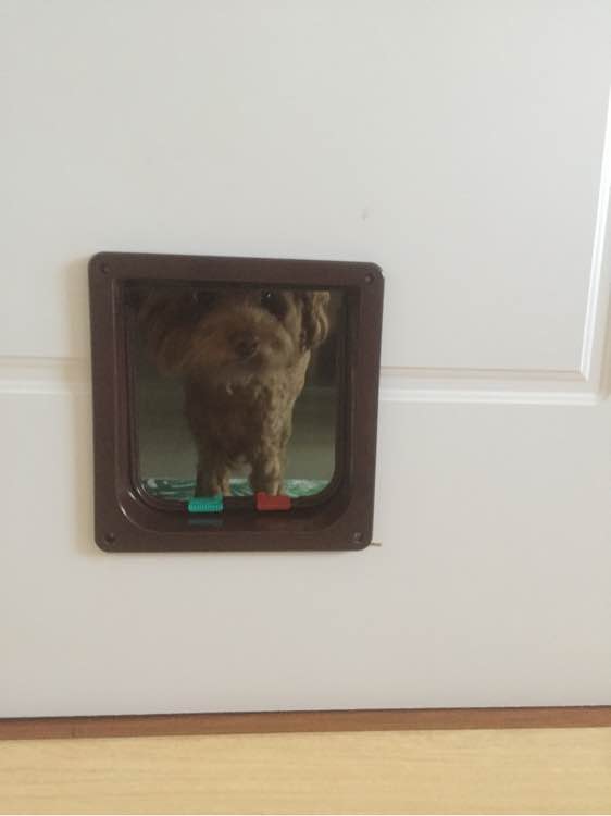 门上面开了个洞,网友房间偷偷搞了一条隧道密室