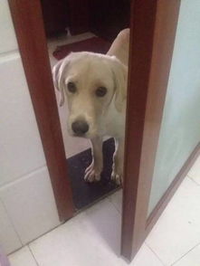 门上面开了个洞,网友房间偷偷搞了一条隧道密室