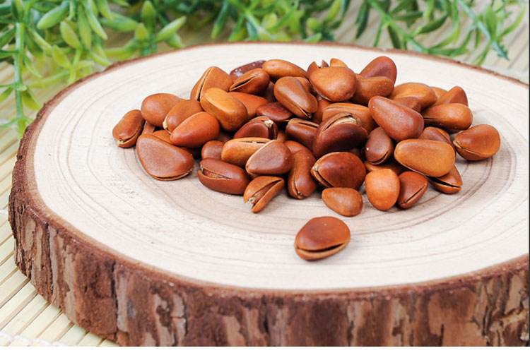 长白山松子是干果吗,被称为长寿果的长白山野生松子