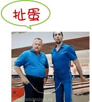 正确的扯蛋方法,如何完美切蛋