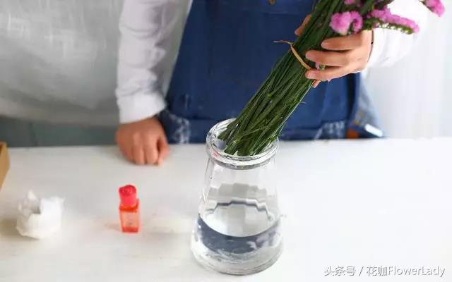 勿忘我如何打理最好,勿忘我怎么养才不会枯萎