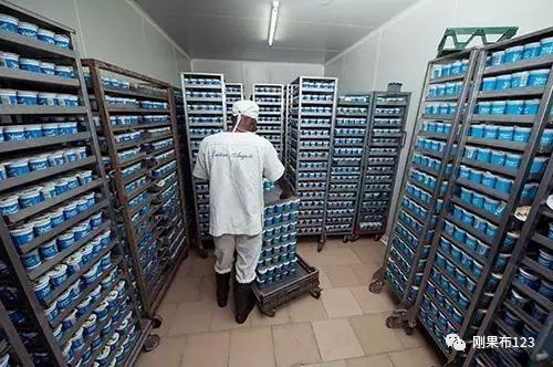 刚果布乳制品:酸奶第一,BAYO乳制品公司