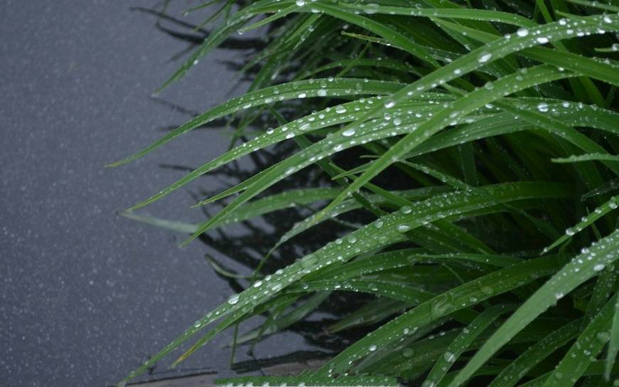 窗前静心听雨声下联,窗前听雨声静谧悠然