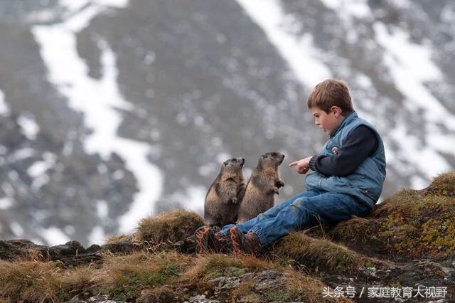 孩子情绪委屈怎么教育,家庭教育正确引导孩子情绪表达